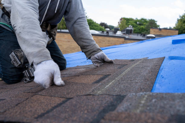 Best Affordable Roof Replacement  in Winchester, KY