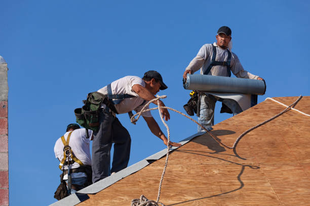 Best Metal Roofing Contractor  in Winchester, KY