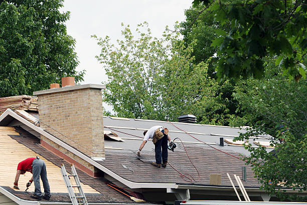 Best Roof Gutter Cleaning  in Winchester, KY