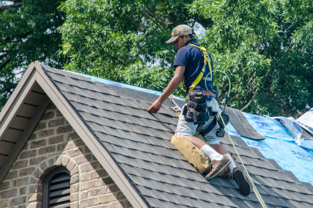 Best Roof Maintenance Services  in Winchester, KY